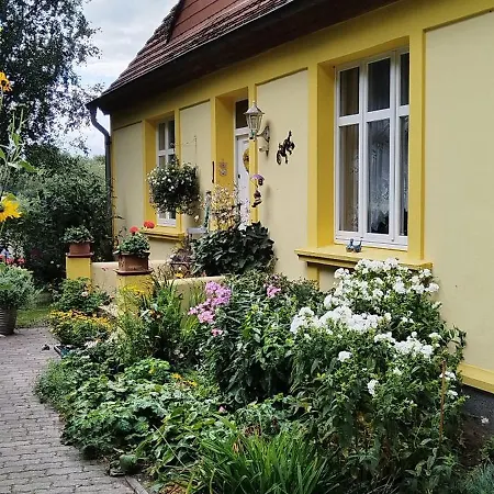 König